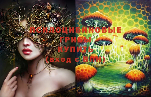 mix Абаза