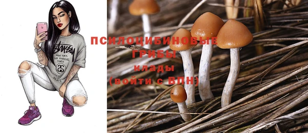 MDMA Алексин